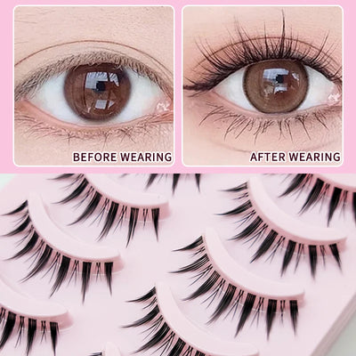 5 Pairs Clear Band Anime Natural Eyelashes